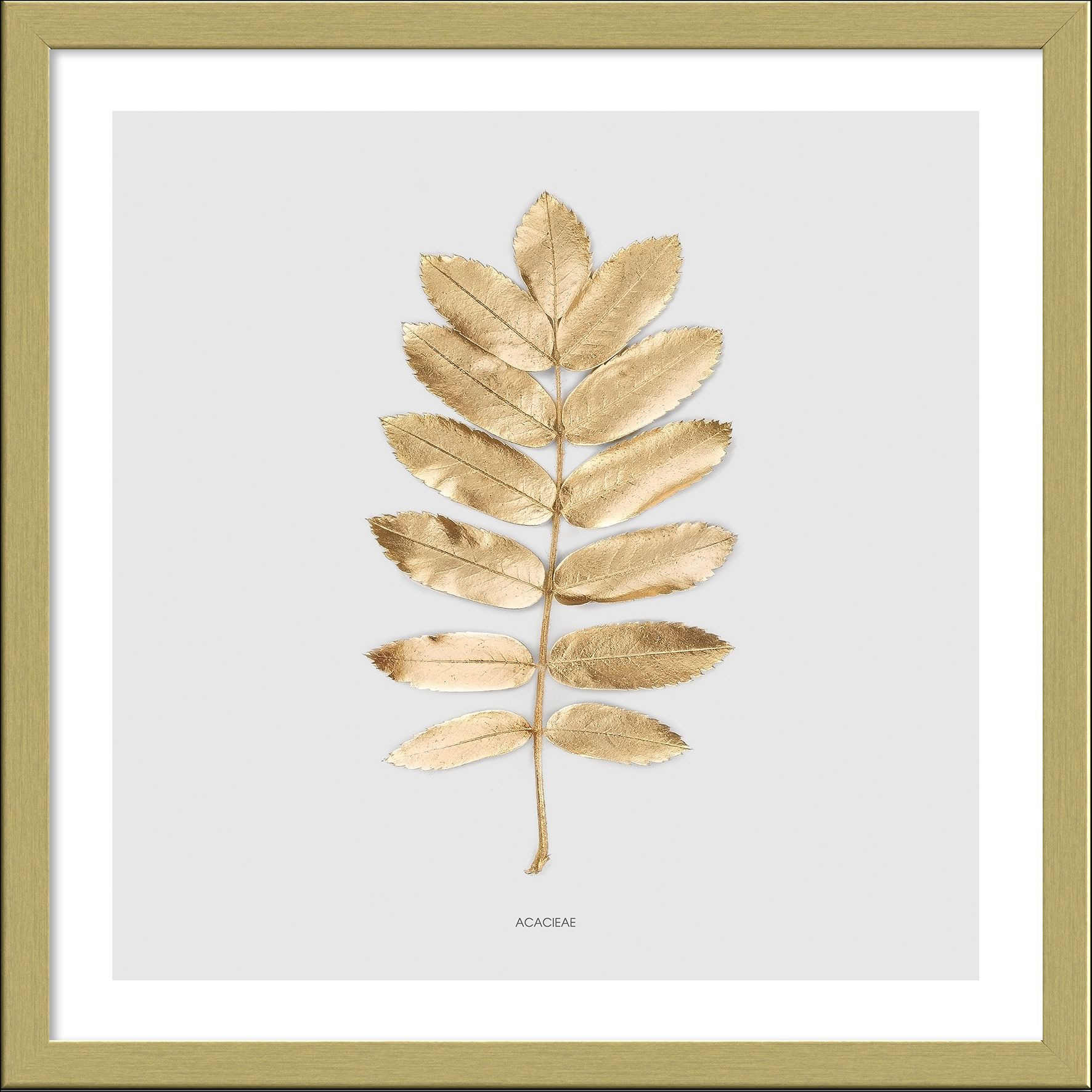 Golden Leaf II